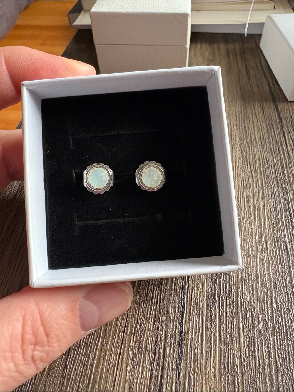 Lia Sophia Opalescent White Scalloped Stud Earrings